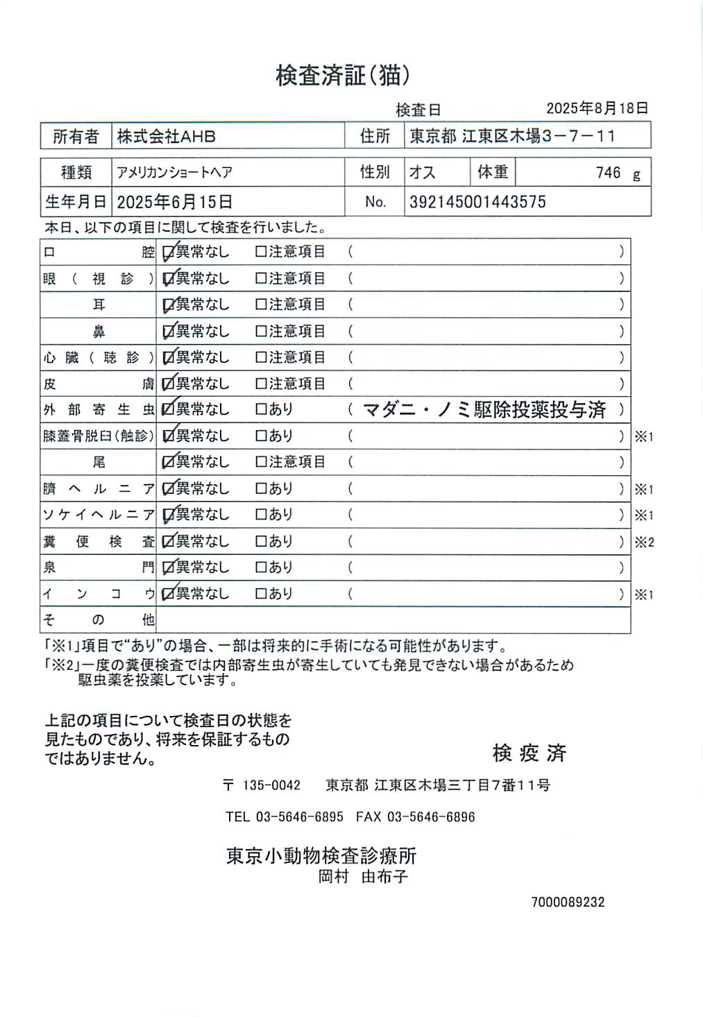 アメリカンショートヘア