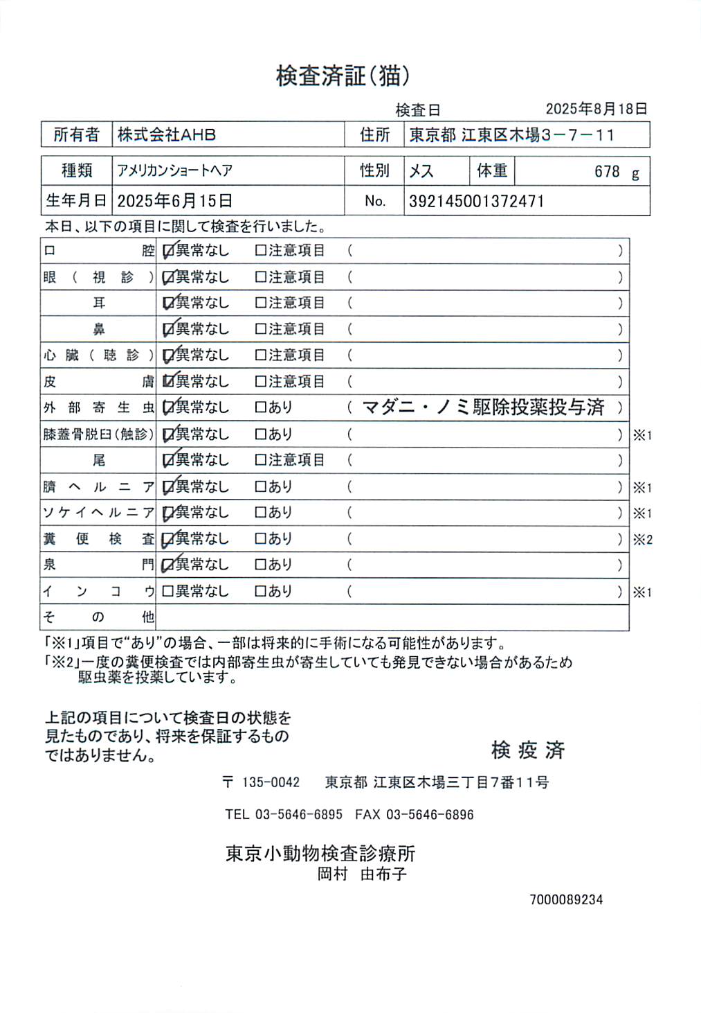 アメリカンショートヘア