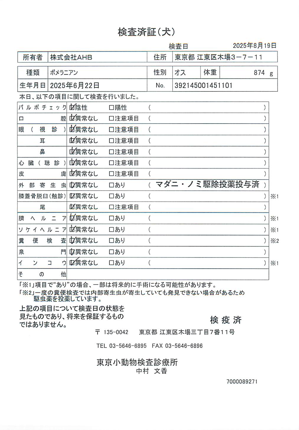 ポメラニアン