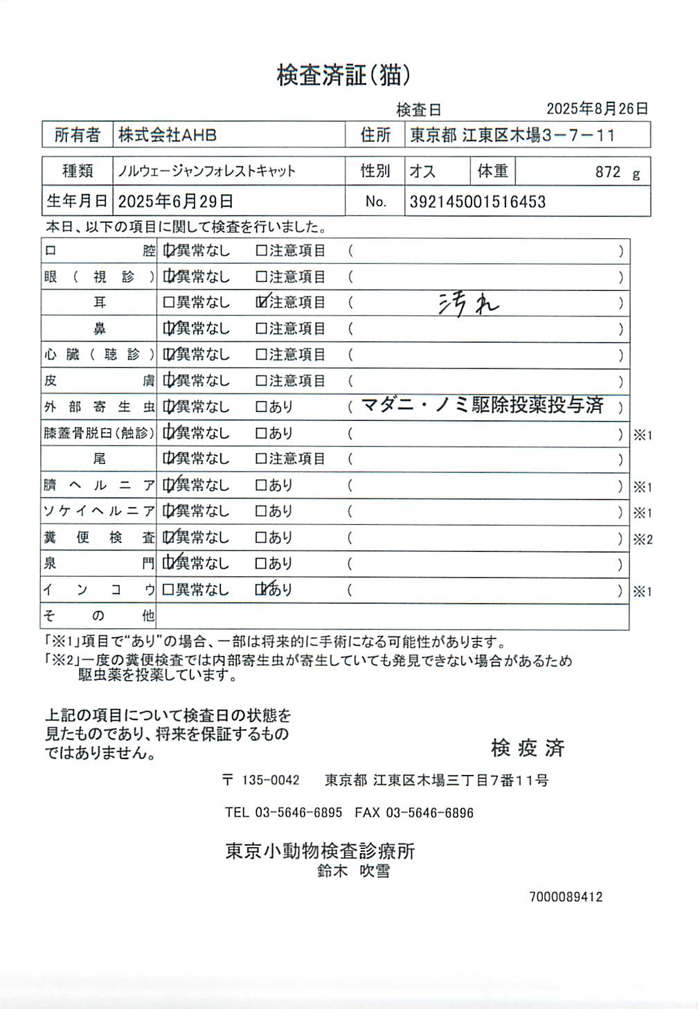 ノルウェージャンフォレストキャット
