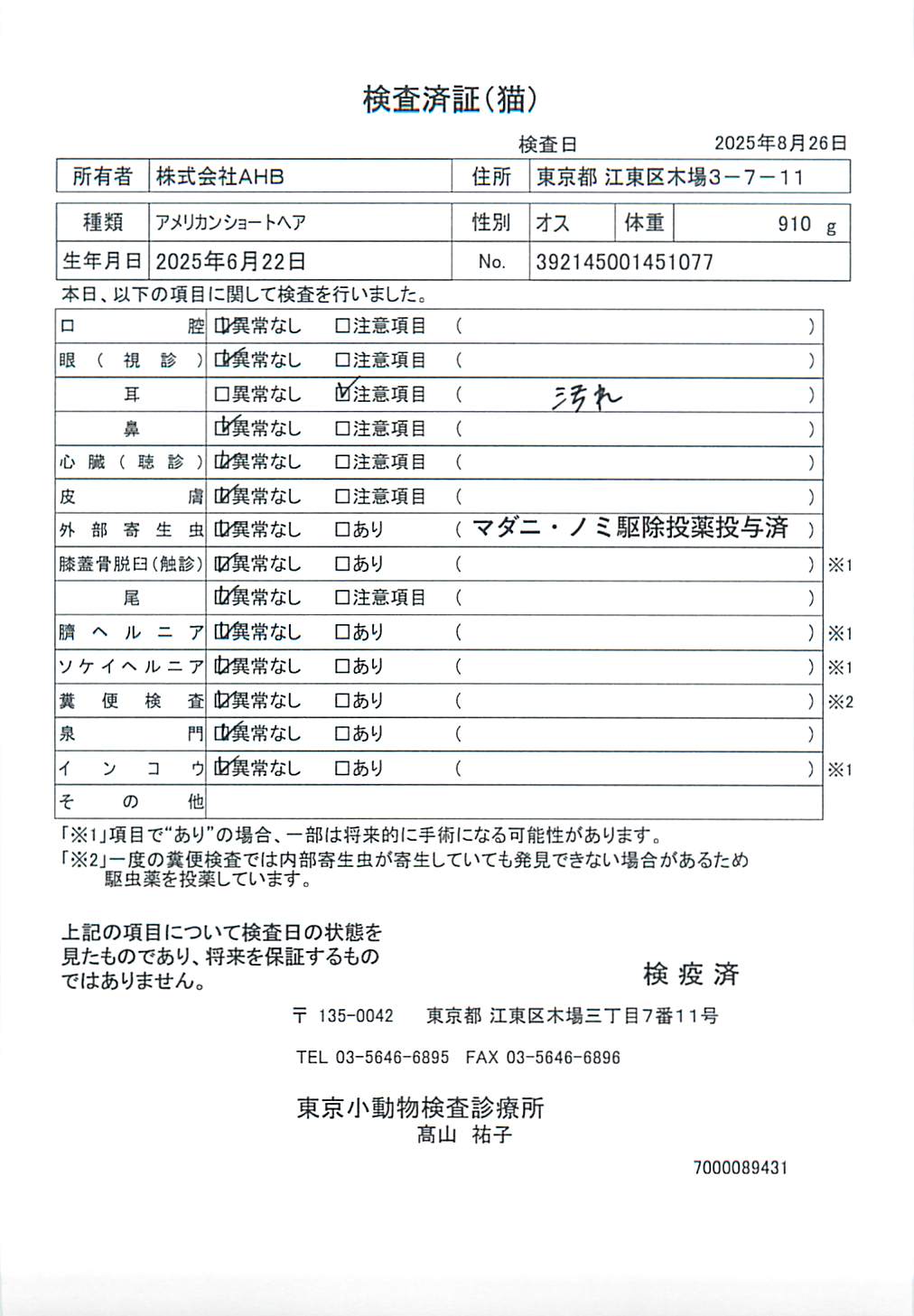 アメリカンショートヘア