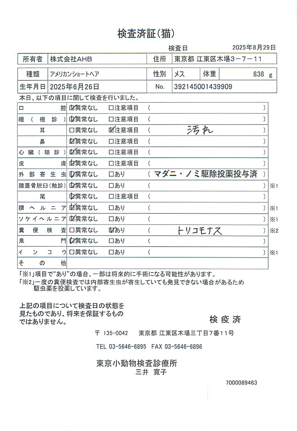 アメリカンショートヘア