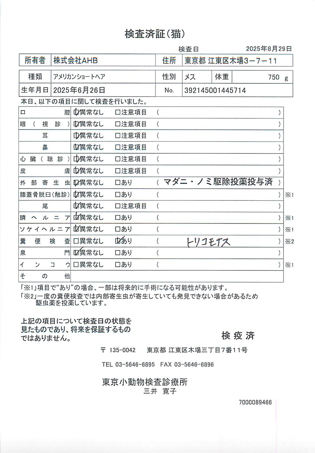 アメリカンショートヘア