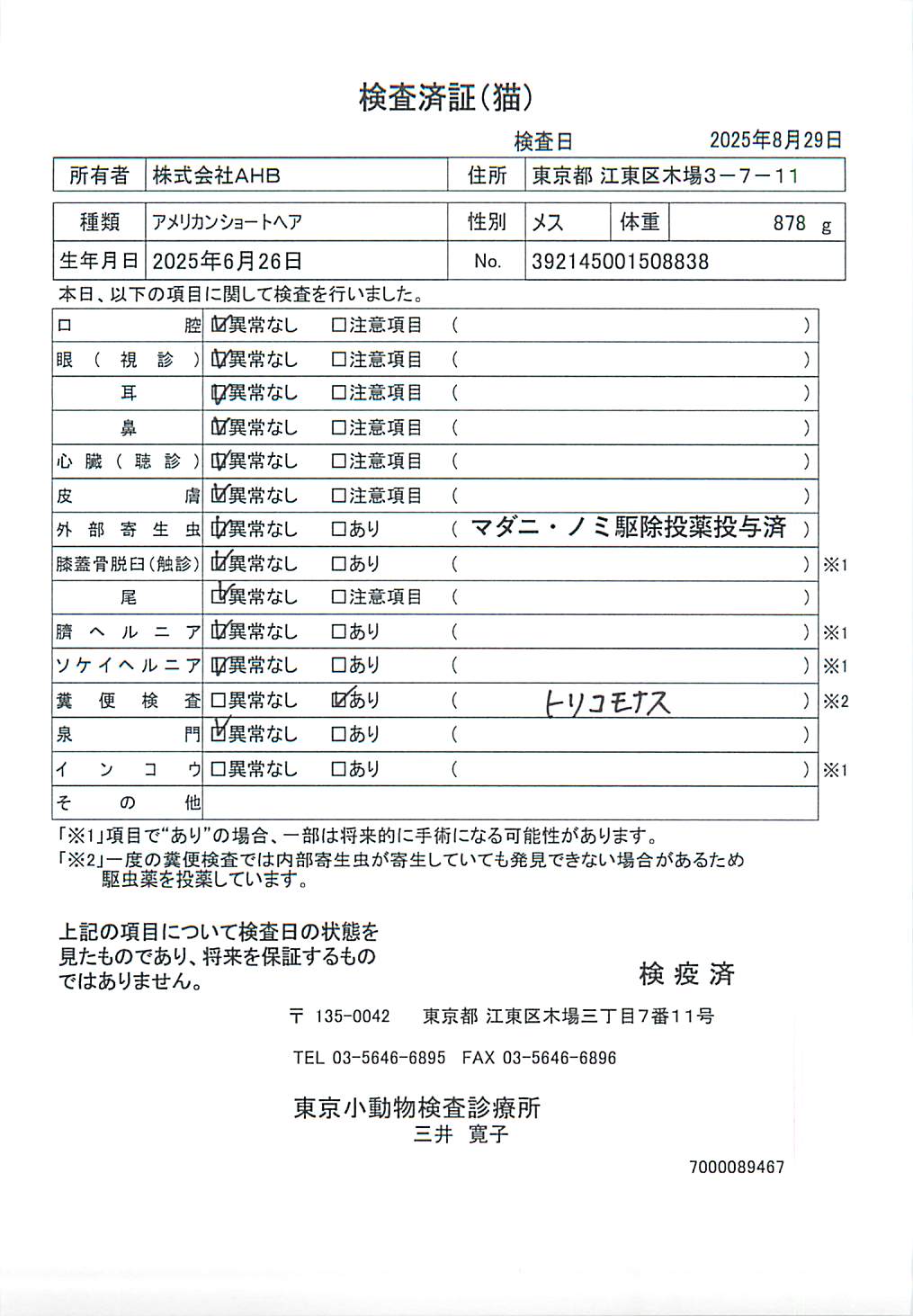 アメリカンショートヘア
