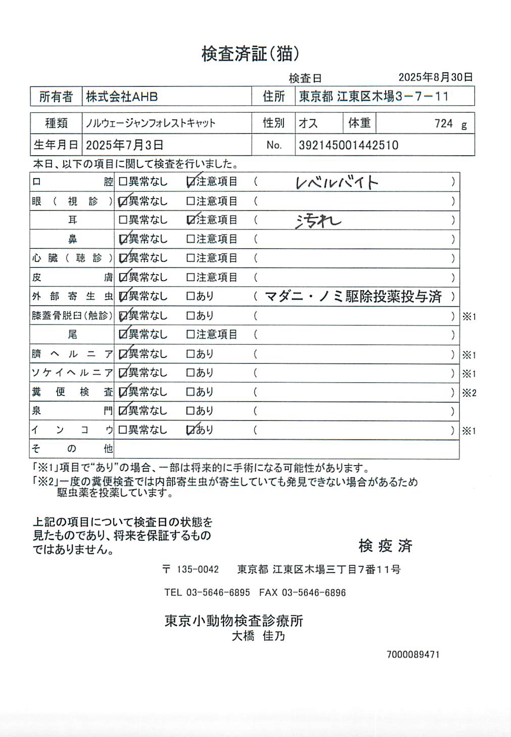 ノルウェージャンフォレストキャット