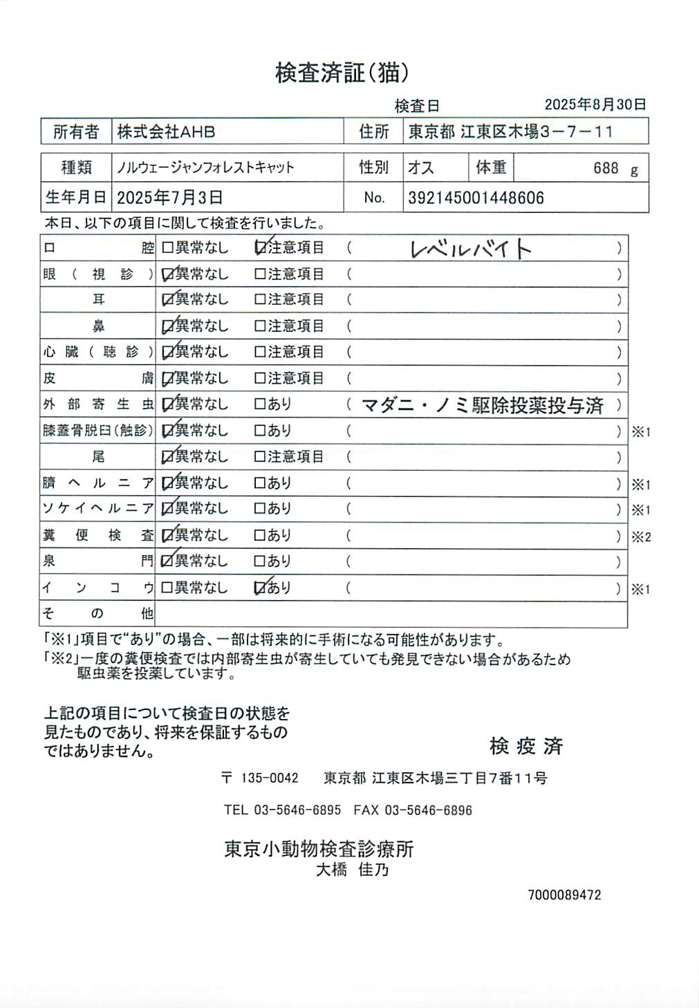 ノルウェージャンフォレストキャット
