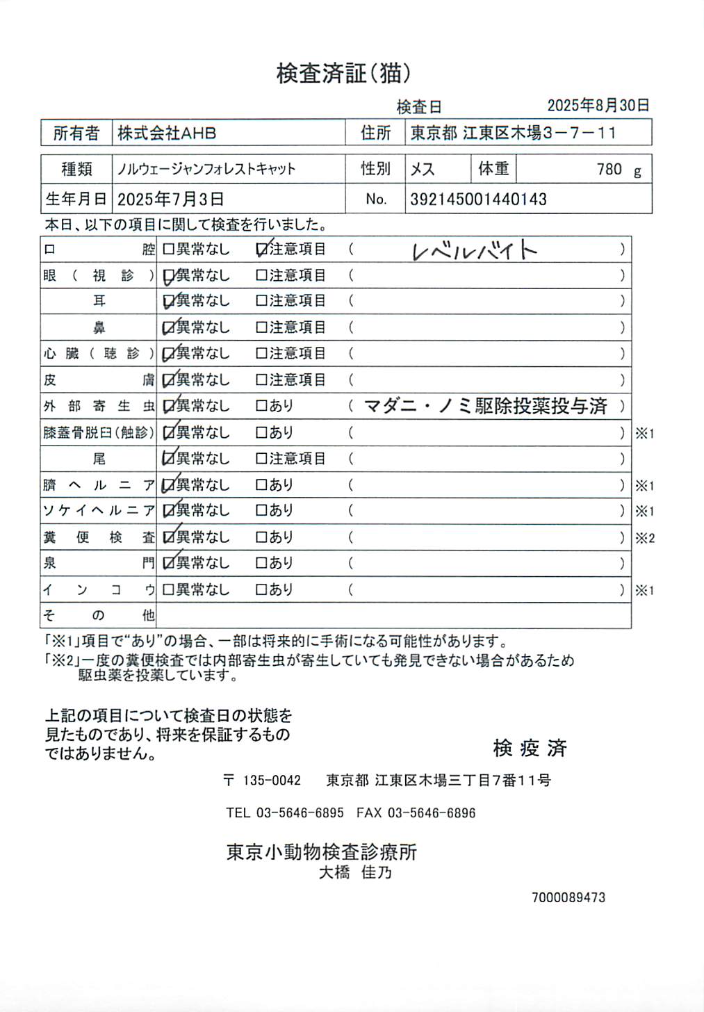 ノルウェージャンフォレストキャット