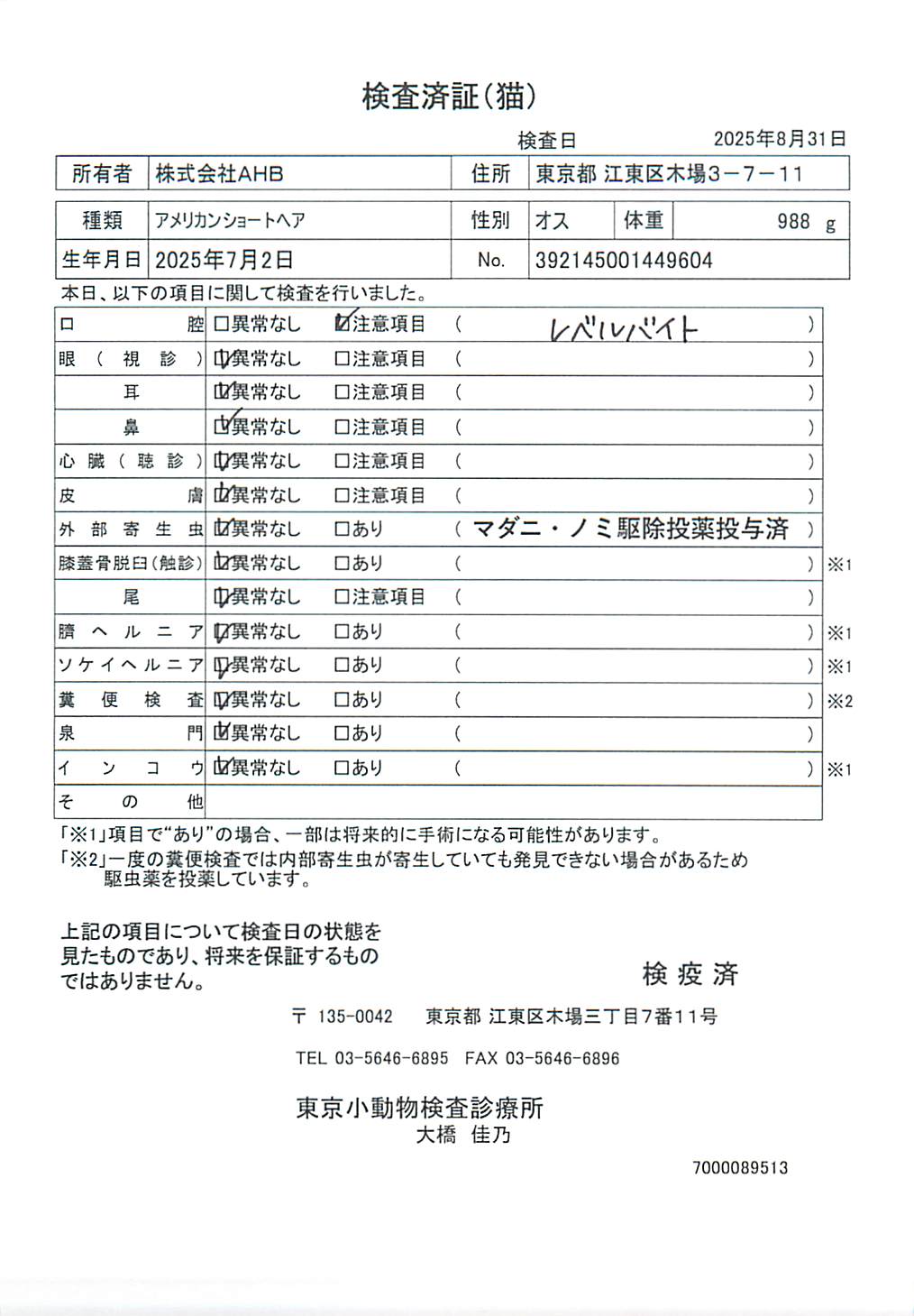 アメリカンショートヘア
