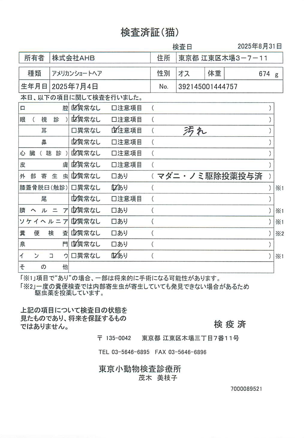 アメリカンショートヘア