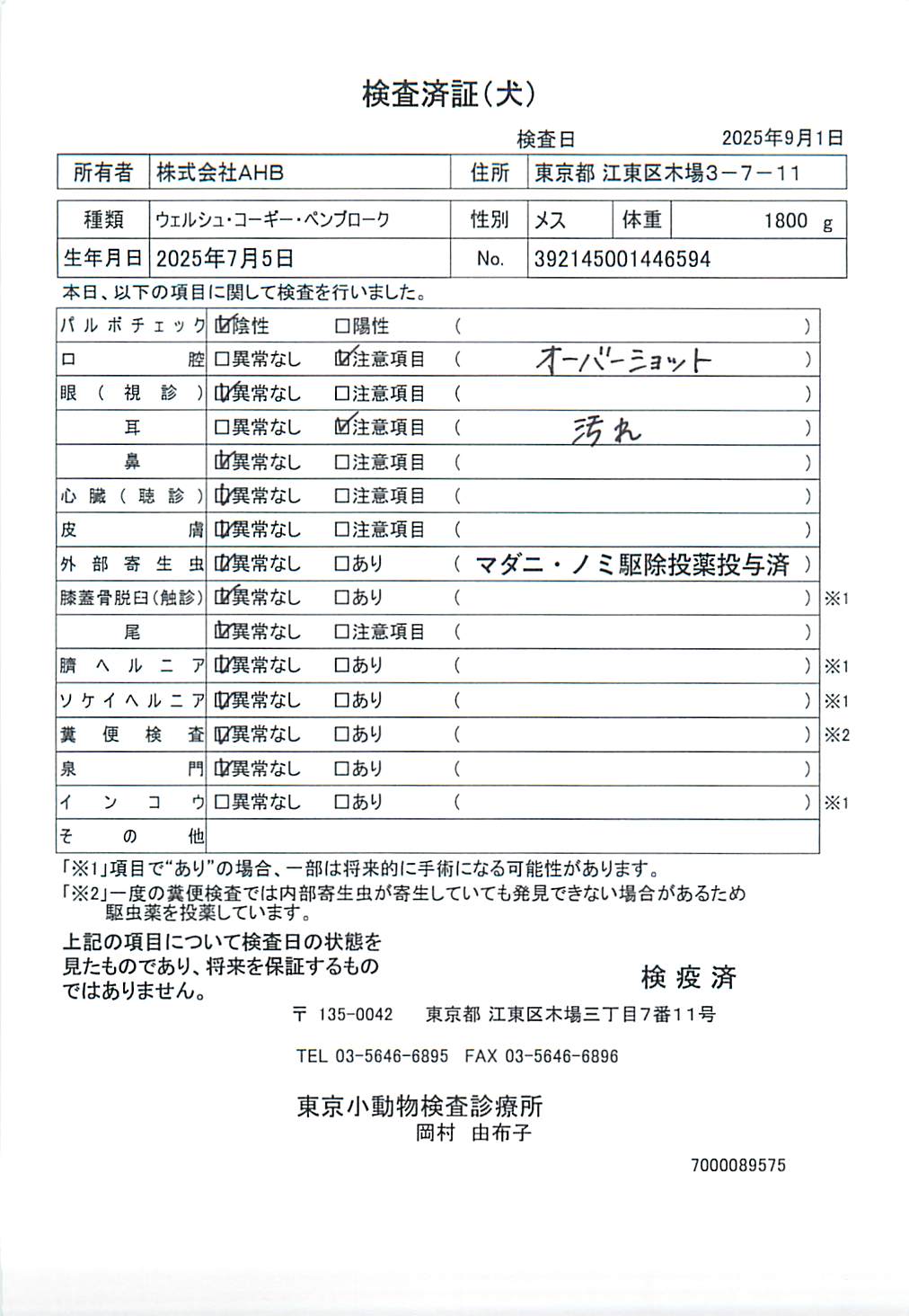 ウェルシュ・コーギー・ペンブローク