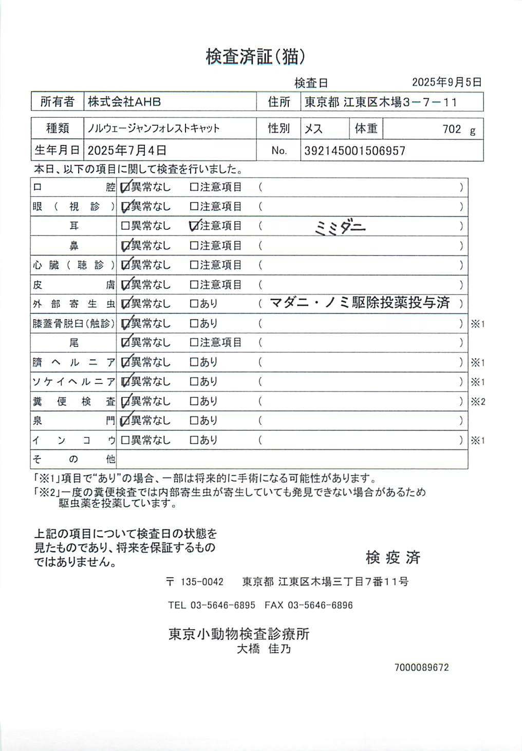 ノルウェージャンフォレストキャット