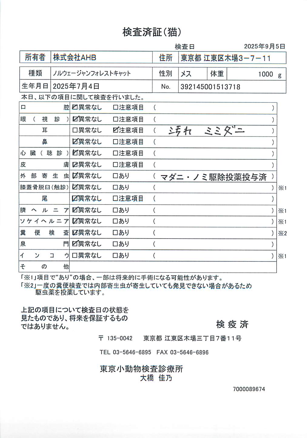 ノルウェージャンフォレストキャット