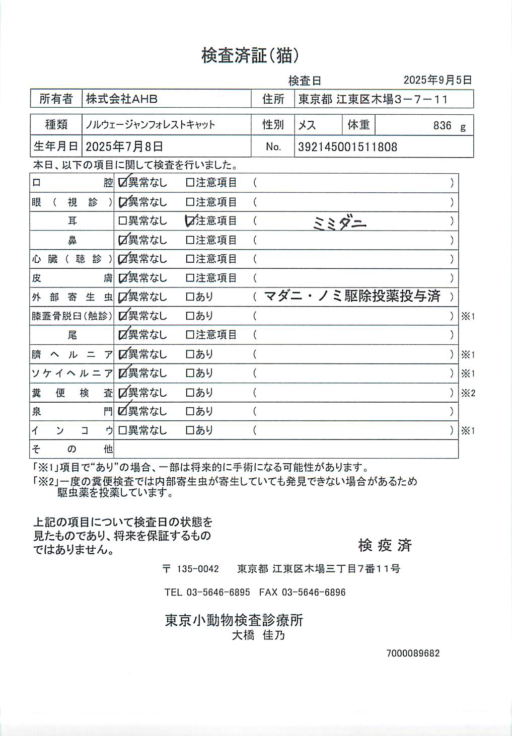 ノルウェージャンフォレストキャット