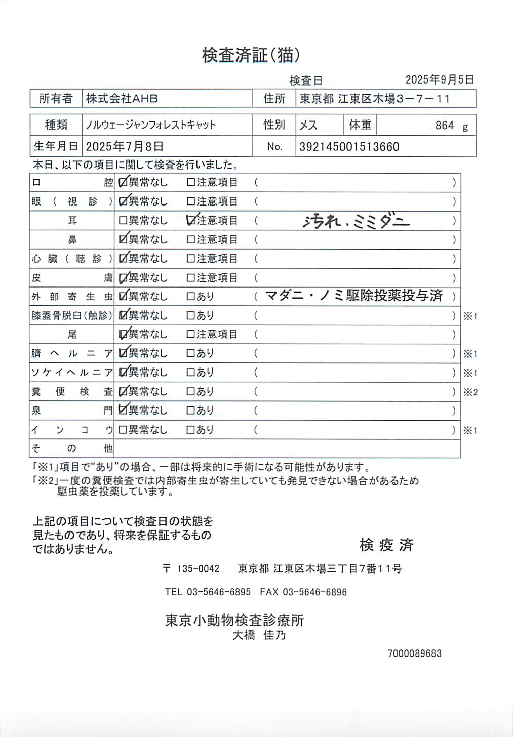 ノルウェージャンフォレストキャット
