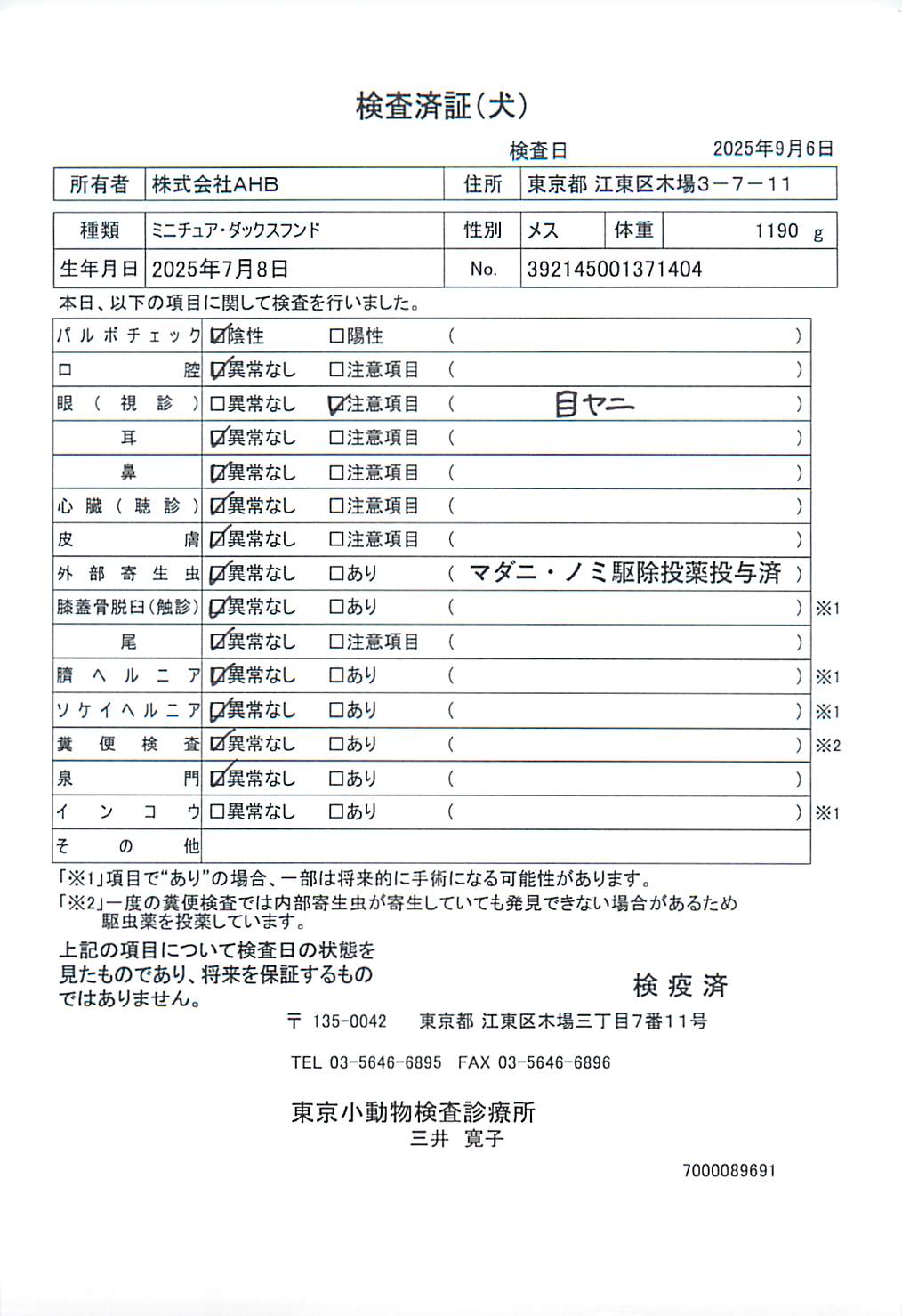 ミニチュア・ダックスフンド