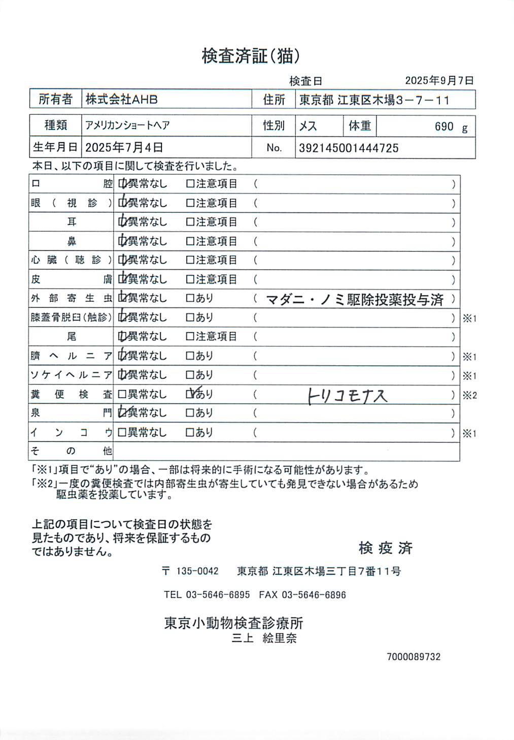 アメリカンショートヘア