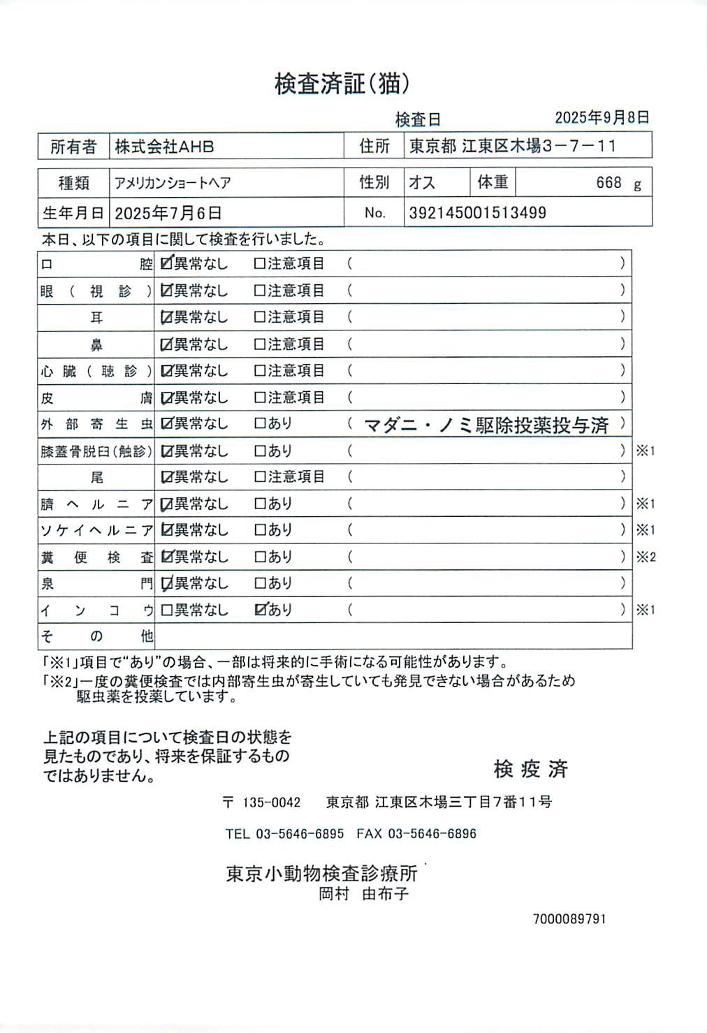 アメリカンショートヘア