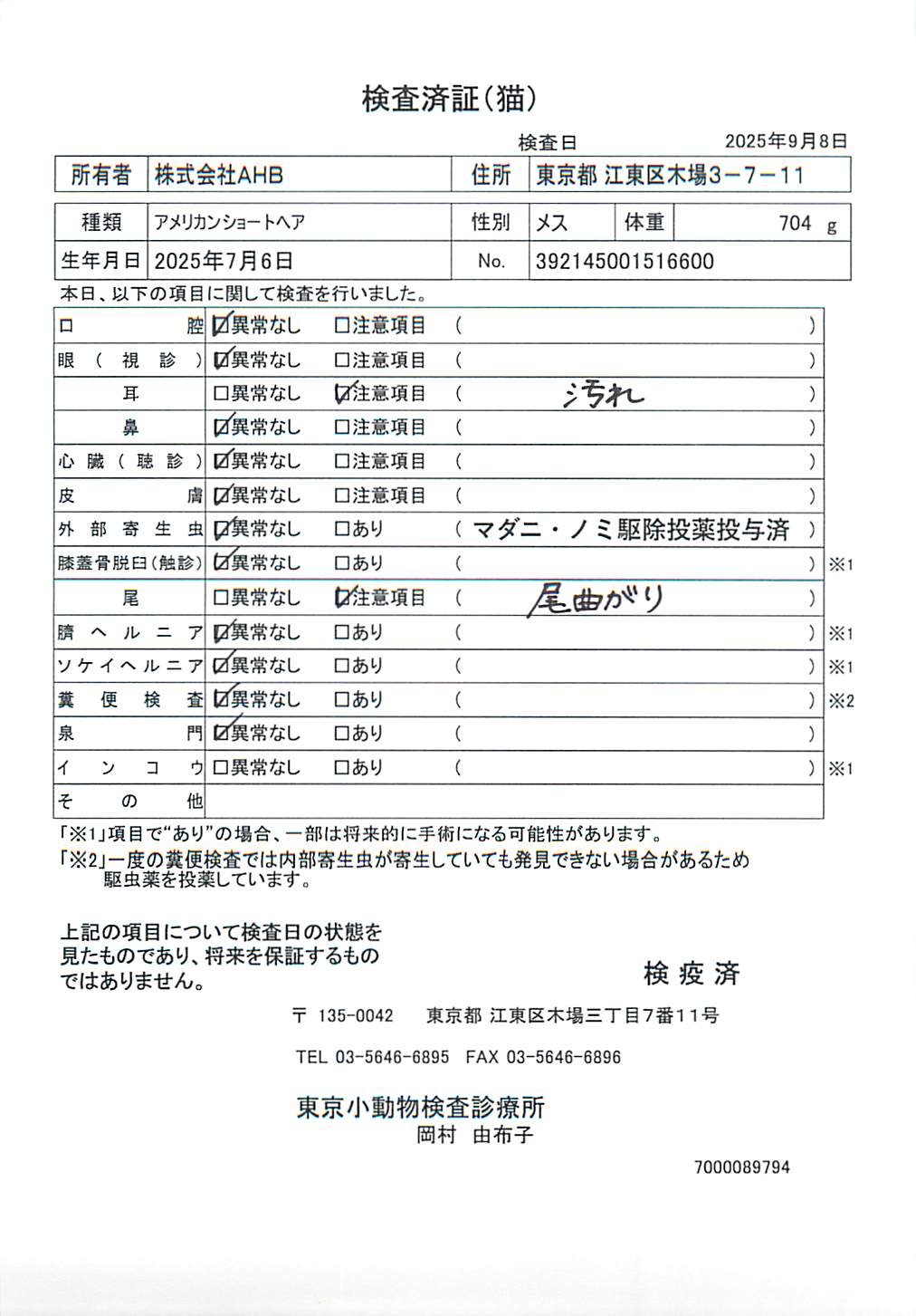 アメリカンショートヘア