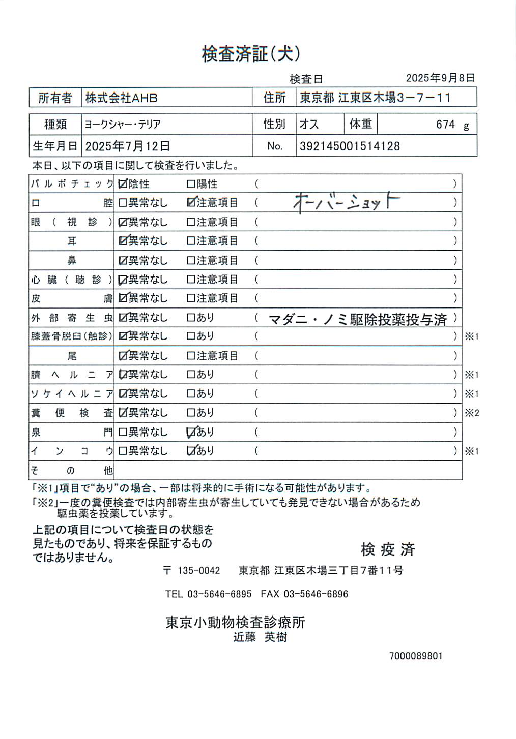 ヨークシャー・テリア