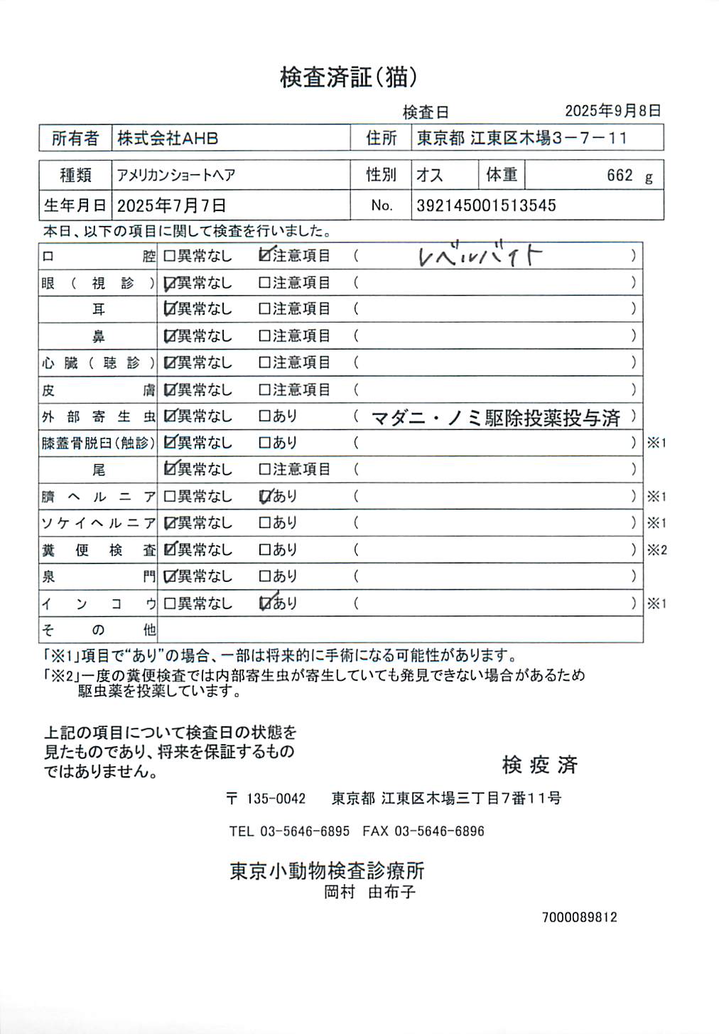 アメリカンショートヘア