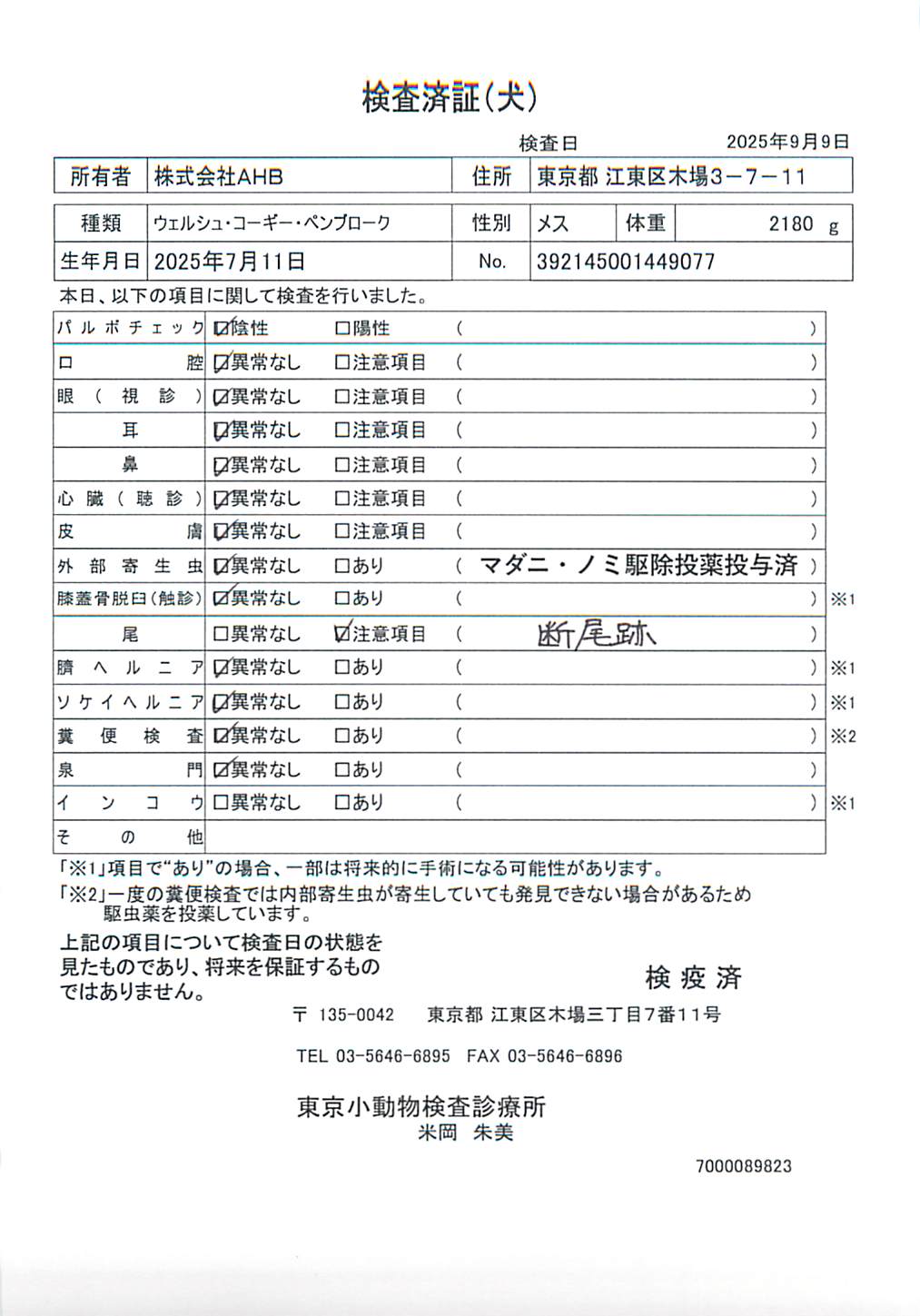 ウェルシュ・コーギー・ペンブローク
