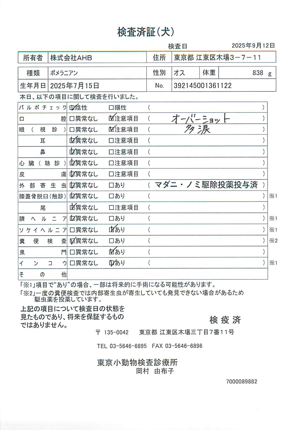 ポメラニアン
