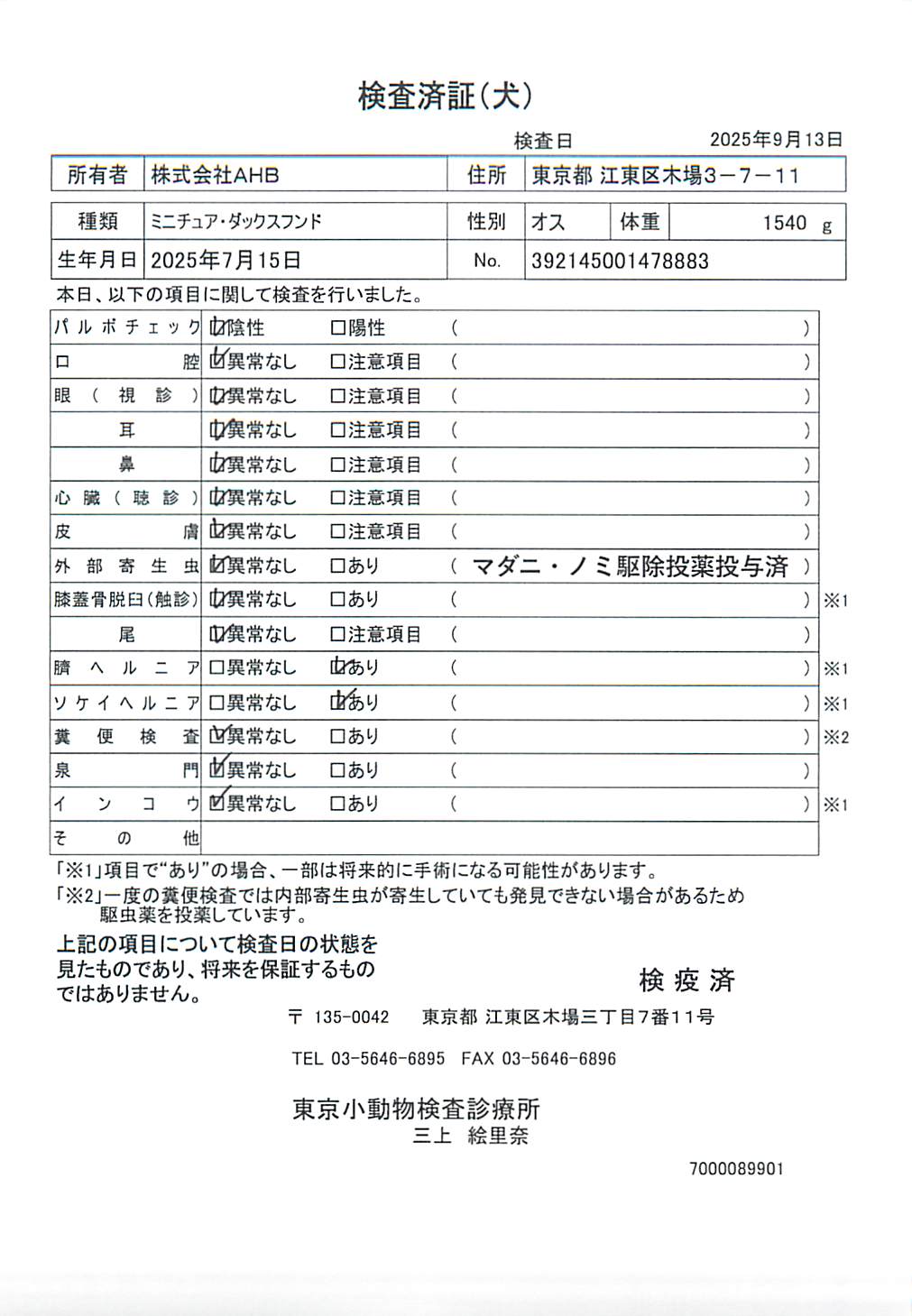 ミニチュア・ダックスフンド
