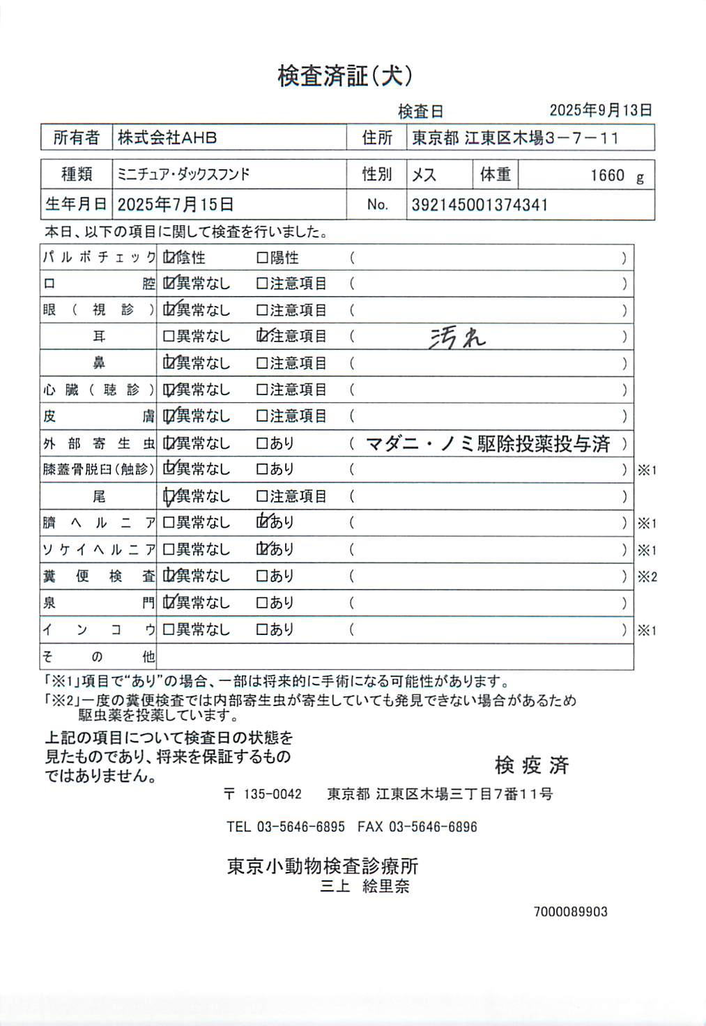 ミニチュア・ダックスフンド