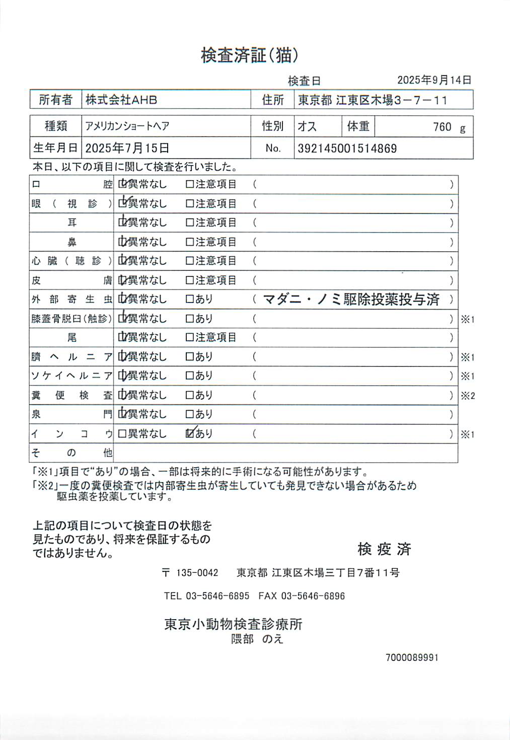 アメリカンショートヘア