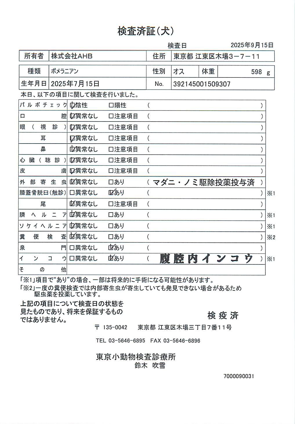 ポメラニアン