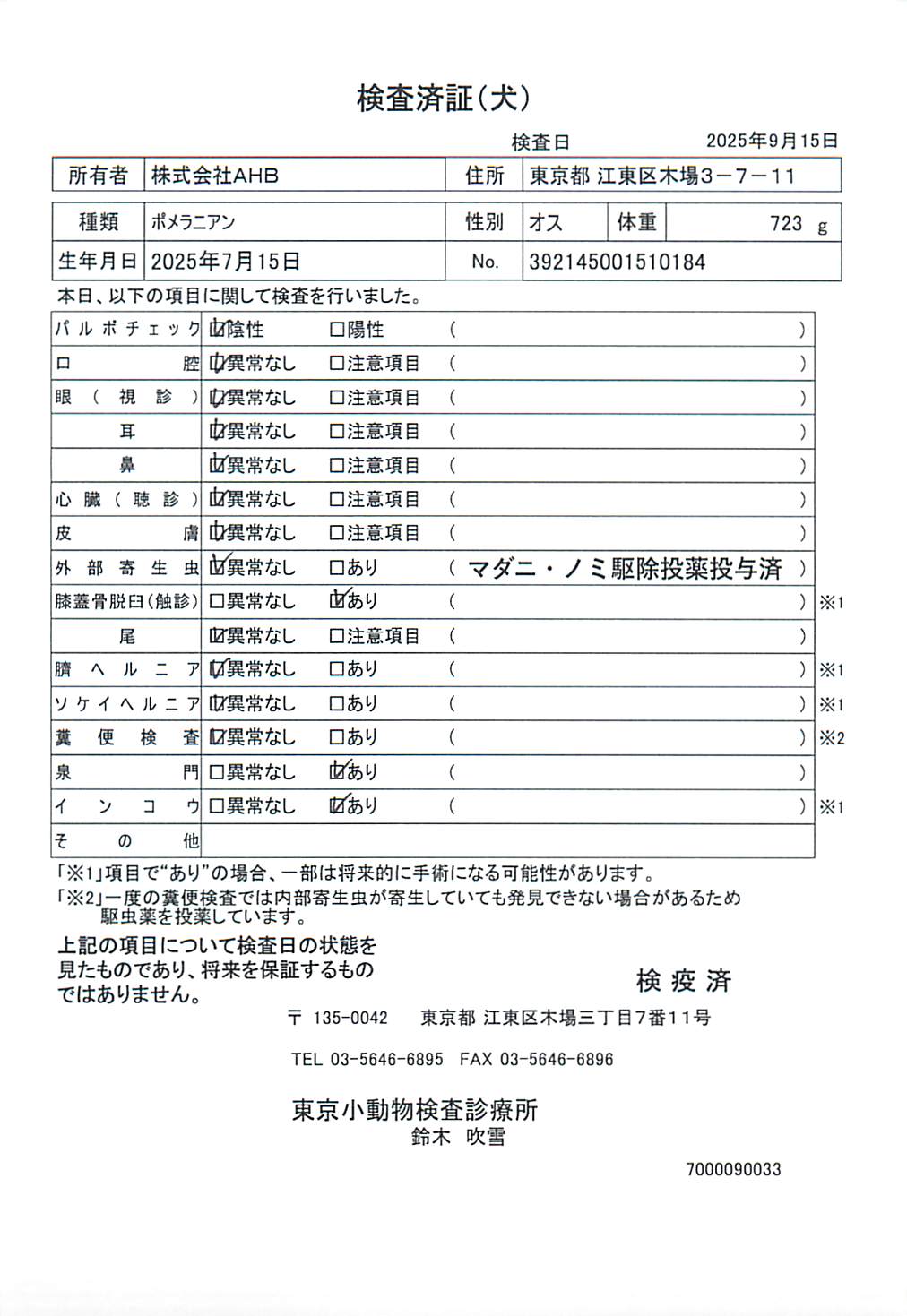 ポメラニアン
