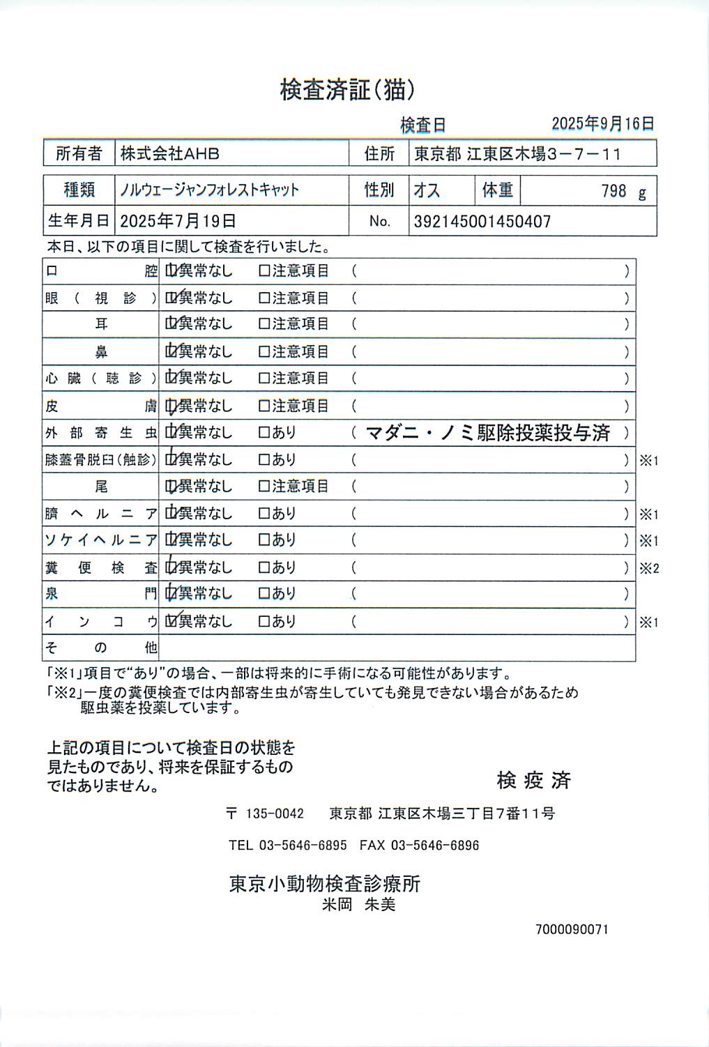 ノルウェージャンフォレストキャット
