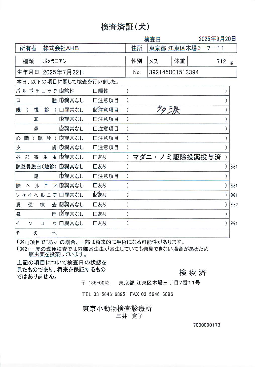 ポメラニアン