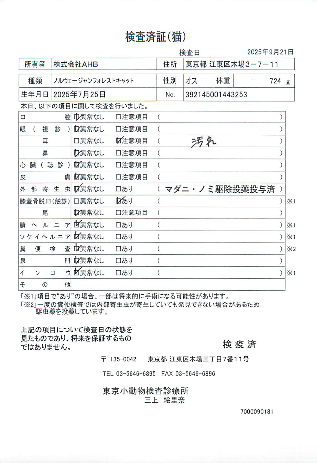 ノルウェージャンフォレストキャット