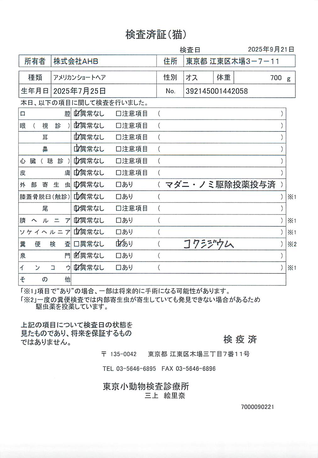アメリカンショートヘア