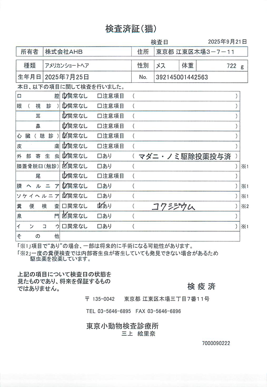 アメリカンショートヘア