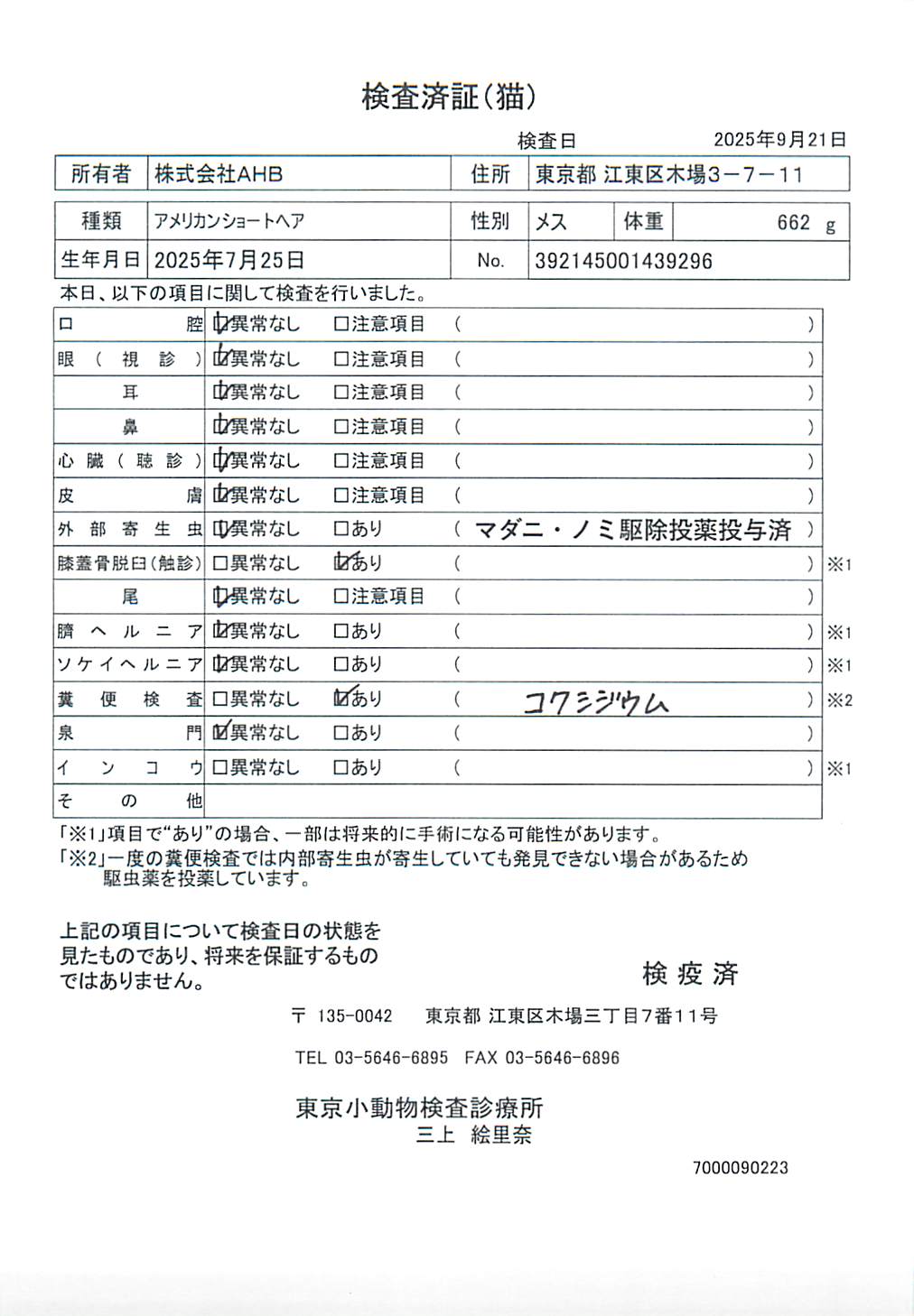 アメリカンショートヘア