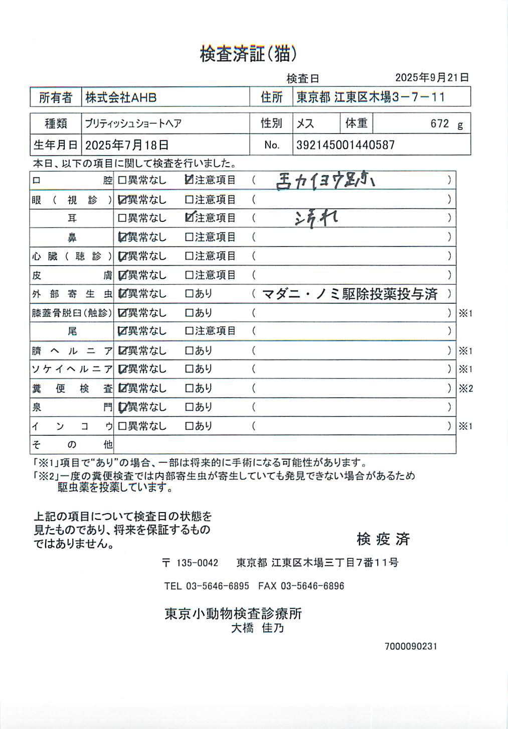 ブリティッシュショートヘア