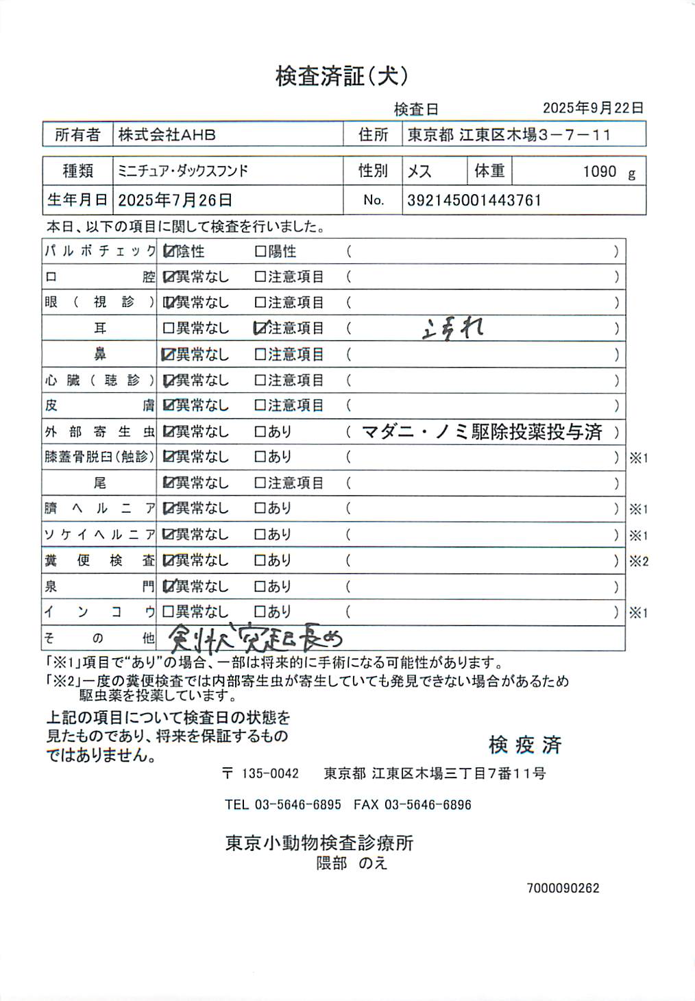 ミニチュア・ダックスフンド