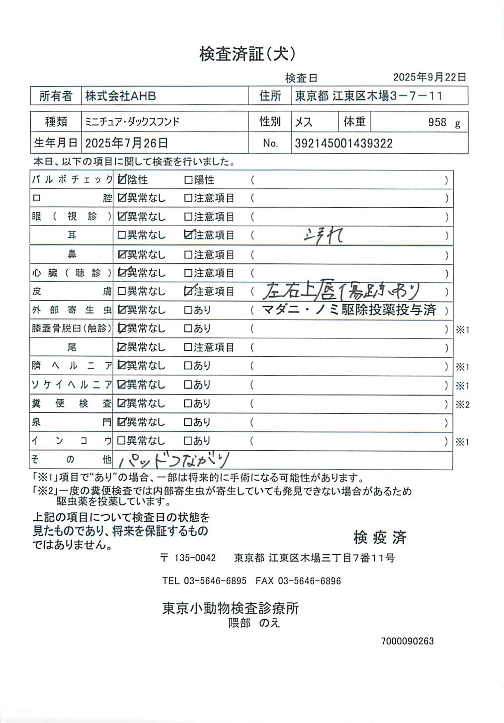 ミニチュア・ダックスフンド