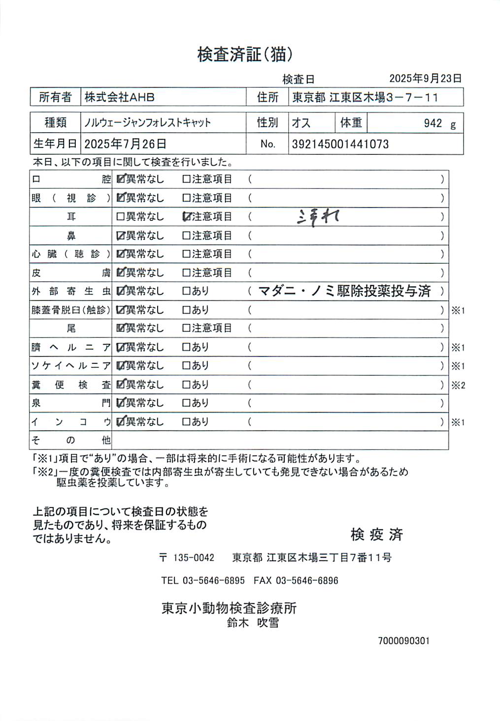 ノルウェージャンフォレストキャット