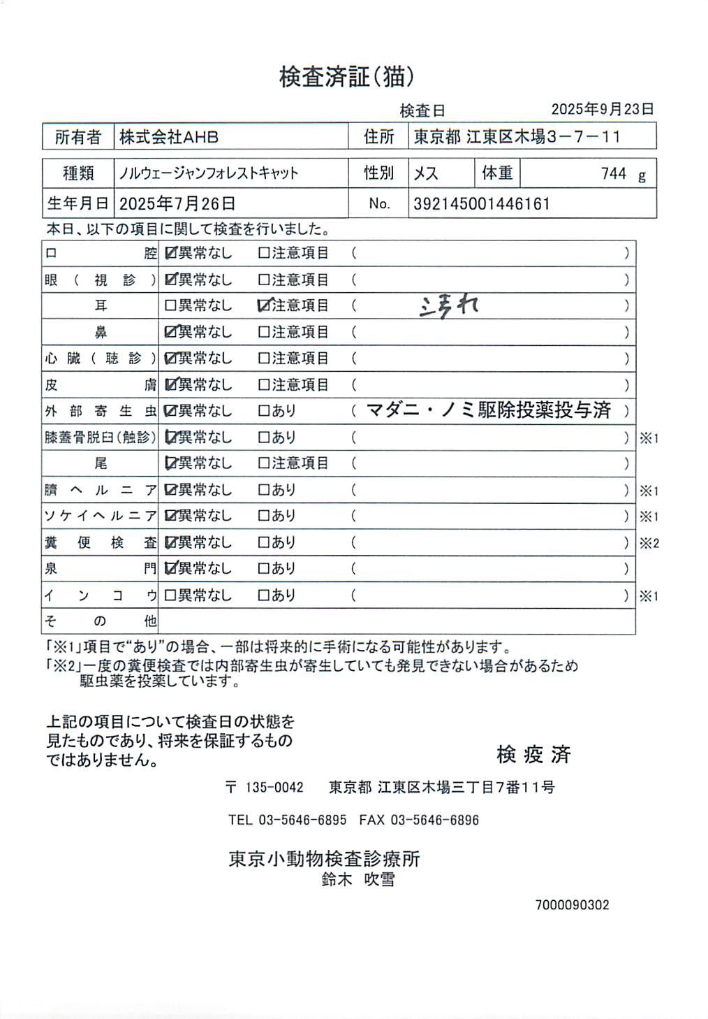 ノルウェージャンフォレストキャット