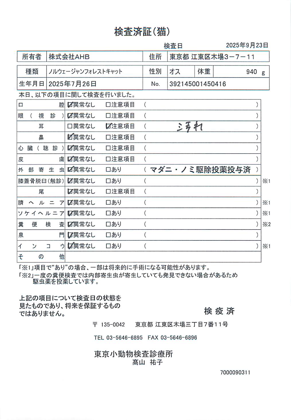 ノルウェージャンフォレストキャット