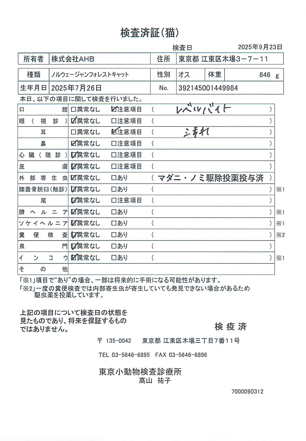 ノルウェージャンフォレストキャット