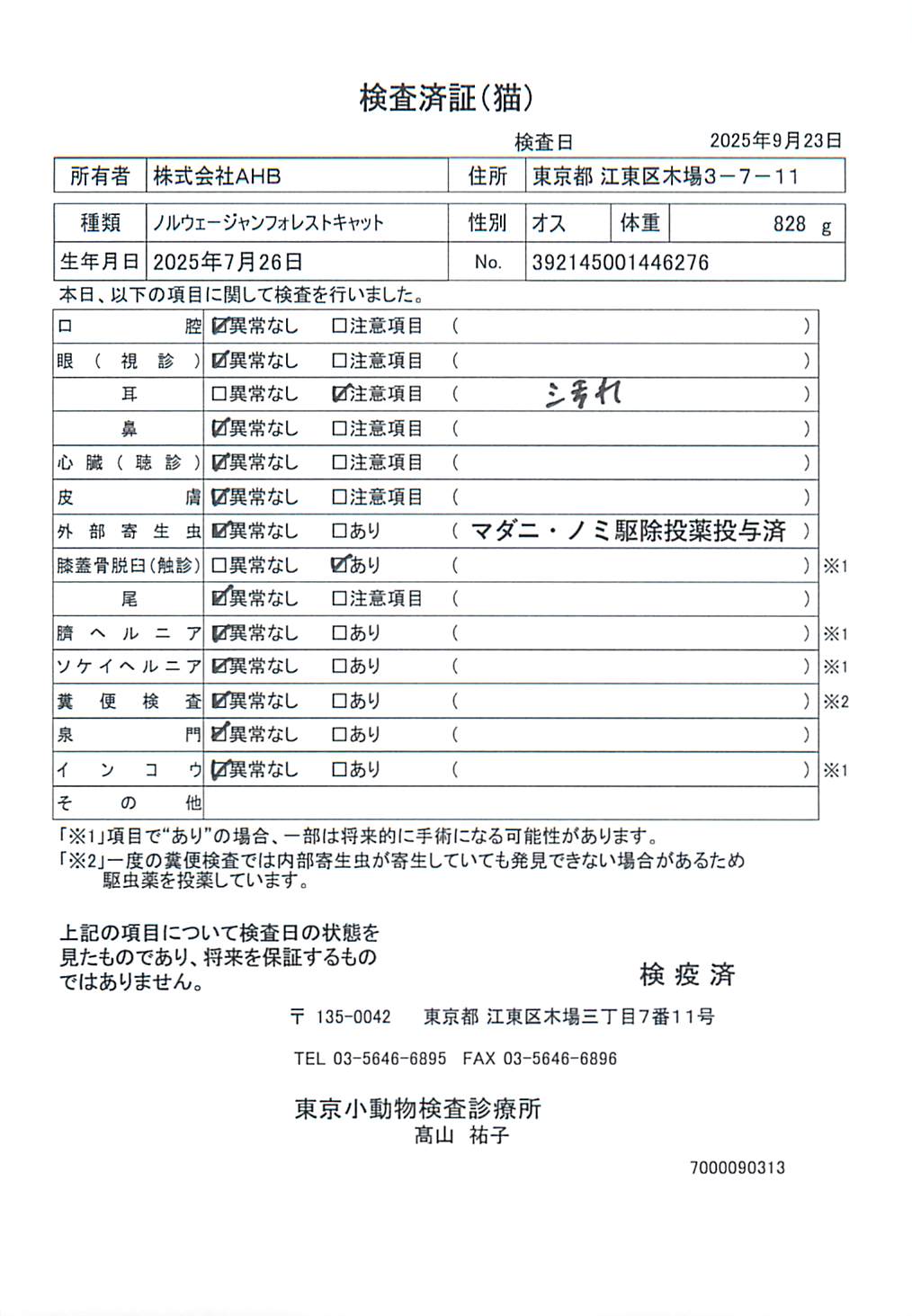 ノルウェージャンフォレストキャット