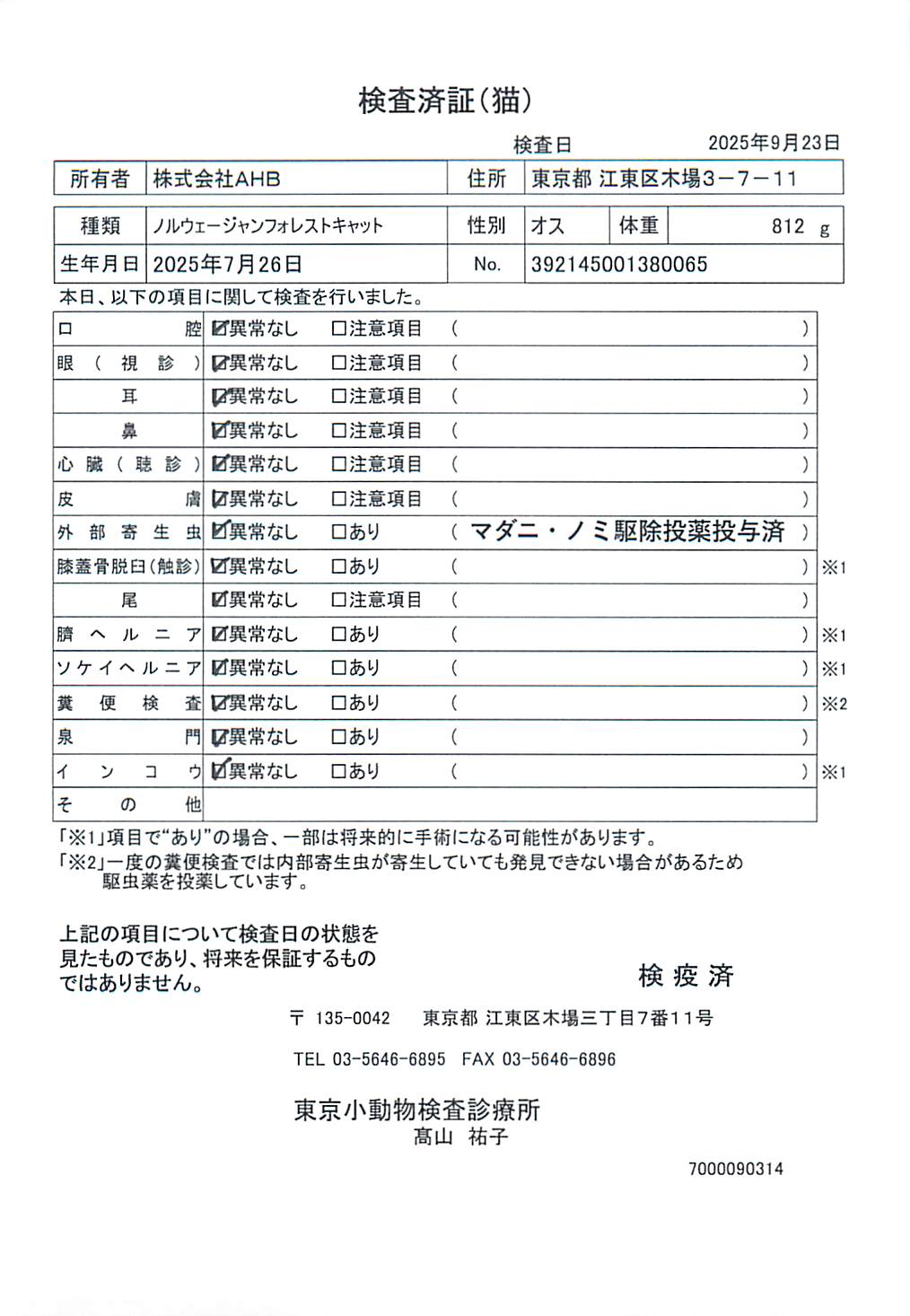 ノルウェージャンフォレストキャット