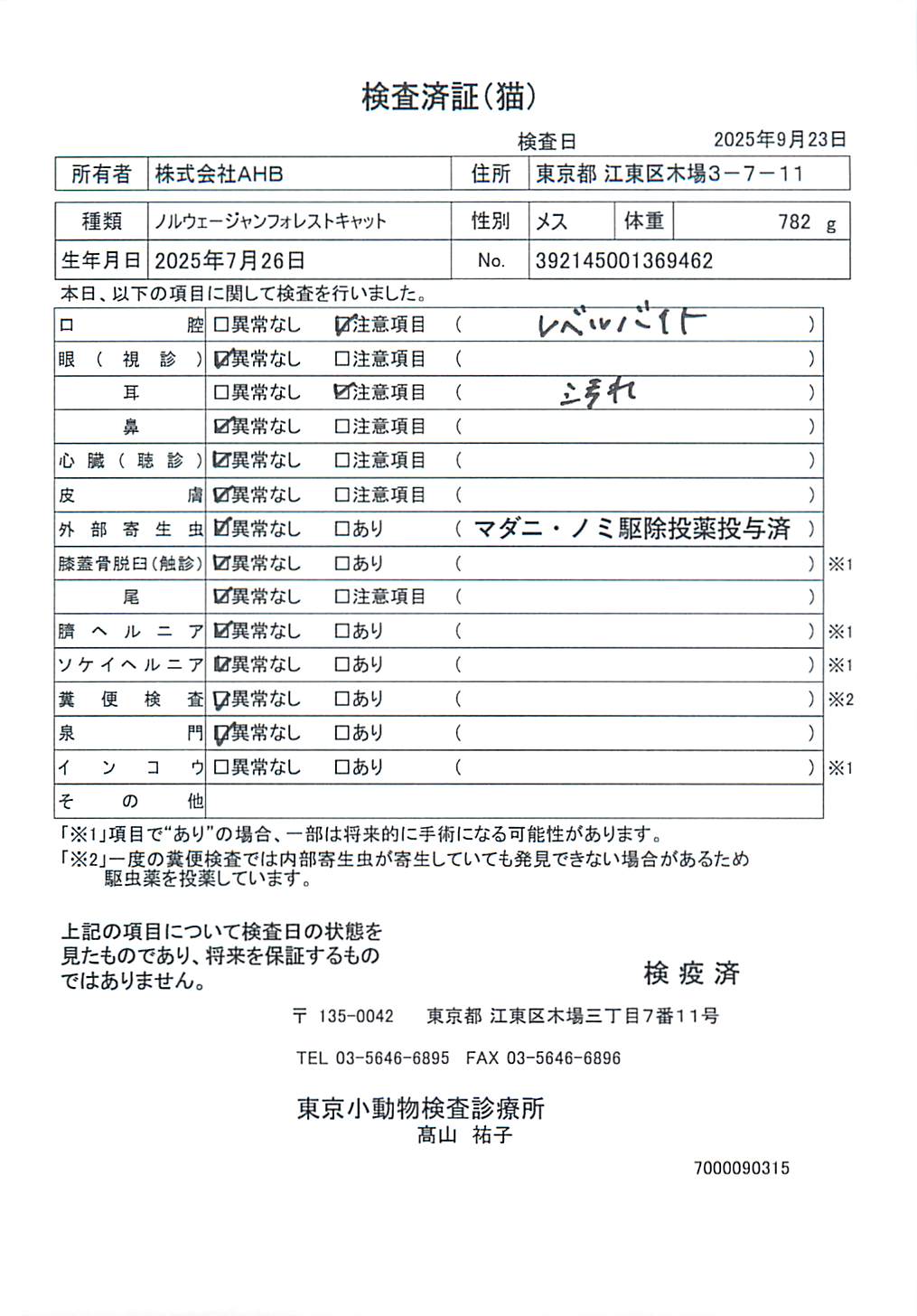 ノルウェージャンフォレストキャット