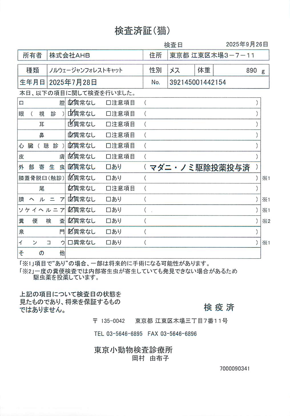 ノルウェージャンフォレストキャット