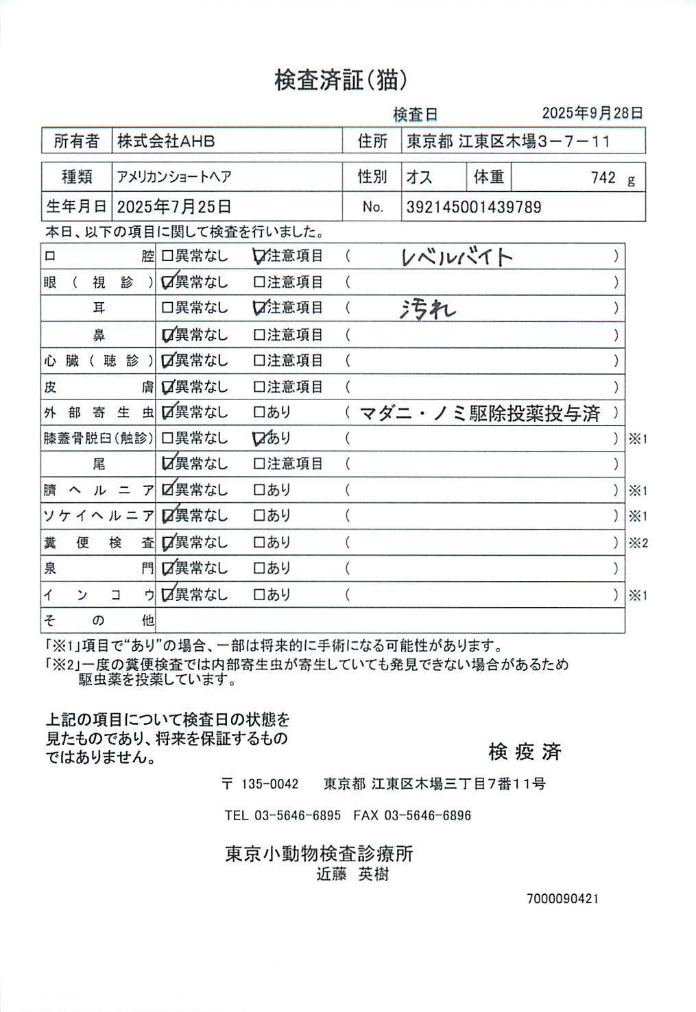 アメリカンショートヘア