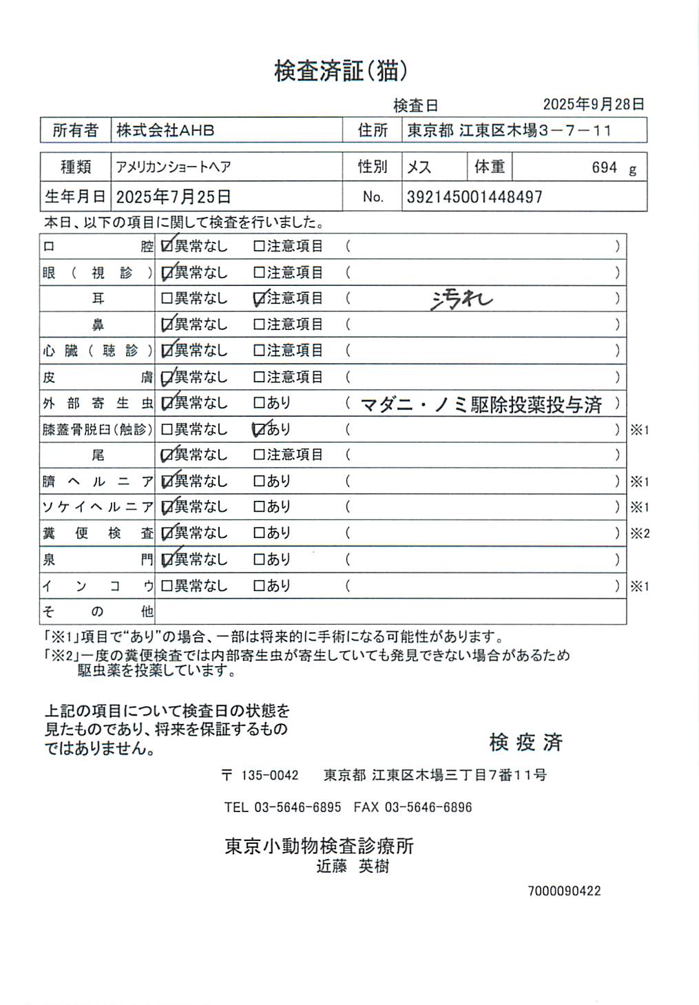アメリカンショートヘア